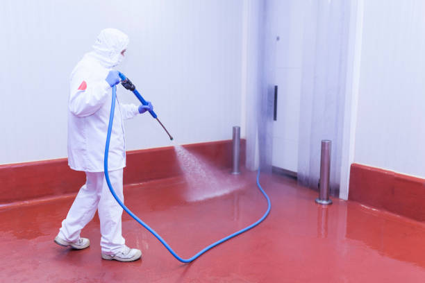Boat and Dock Cleaning in Balm, FL