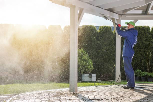 Best Solar Panel Cleaning  in Balm, FL
