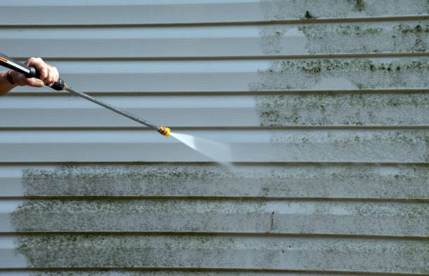 Best Sidewalk and Walkway Cleaning  in Balm, FL