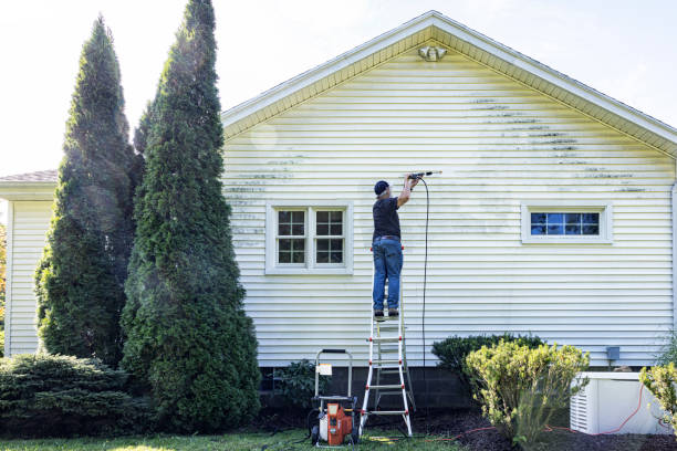 Best Patio and Deck Pressure Washing  in Balm, FL